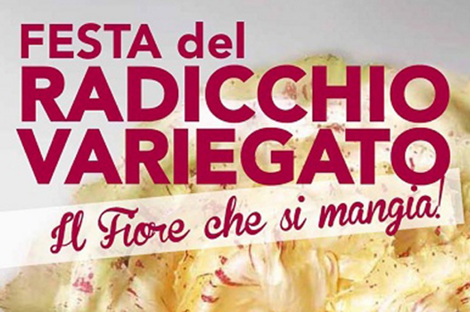 Il 18 dicembre appuntamento con la Festa del Radicchio Variegato di Castelfranco Veneto