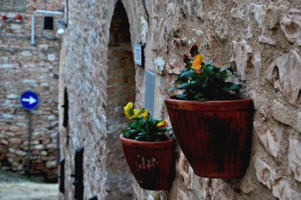 Festa dell'olivo e sagra della bruschetta a Spello dal 20 al 22 novembre Festa dell'olivo e sagra della bruschetta a Spello dal 20 al 22 novembre