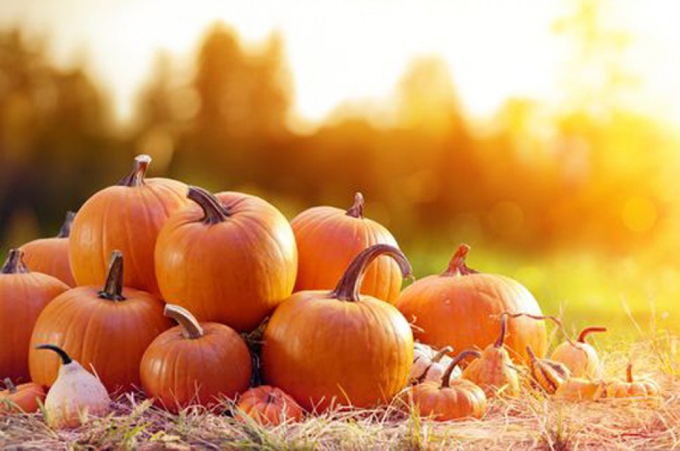 Festa della Zucca: i weekend del 22 e del 31 ottobre a Sernaglia della Battaglia