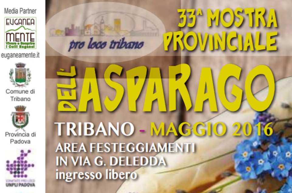 Festa Provinciale dell'Asparago: a Tribano dal 29 aprile 
