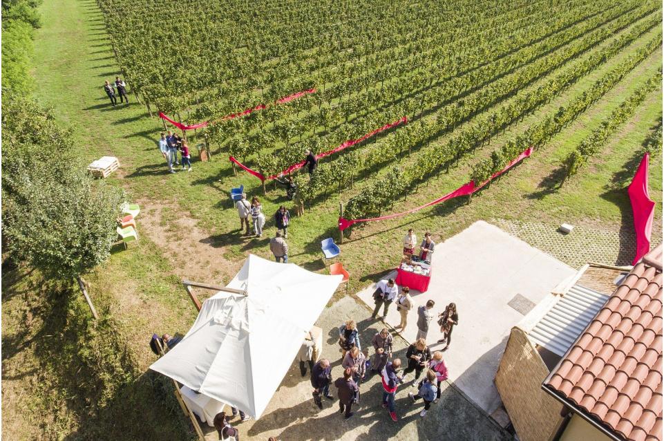  Il 14 e 15 settembre appuntamento con il "Festival del Franciacorta in Cantina" 