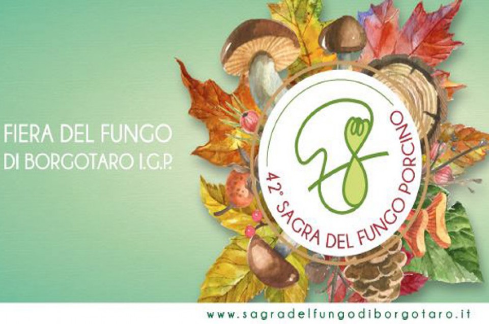 Fiera del Fungo di Borgotaro IGP: i weekend del 16/17 e 23/24 settembre a Borgo Val di Taro 
