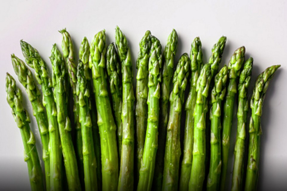 Fiera dell'asparago: dal 22 aprile all'1 maggio a Mesola