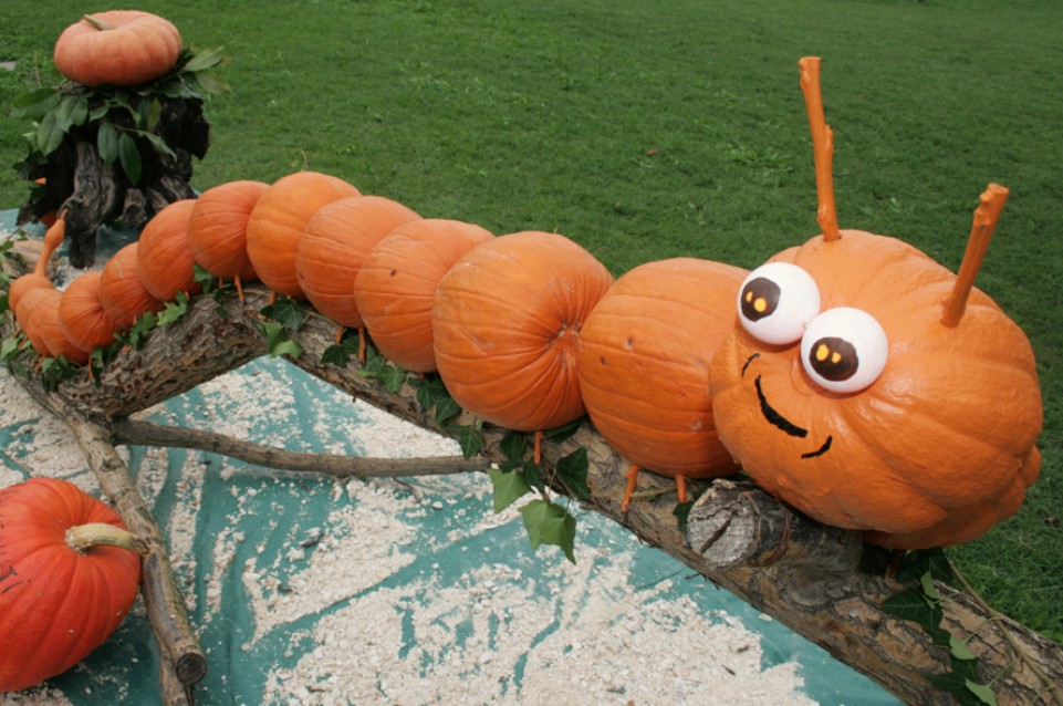 Fiera della Zucca: il 21,22 e 28, 29 settembre a Reggiolo 