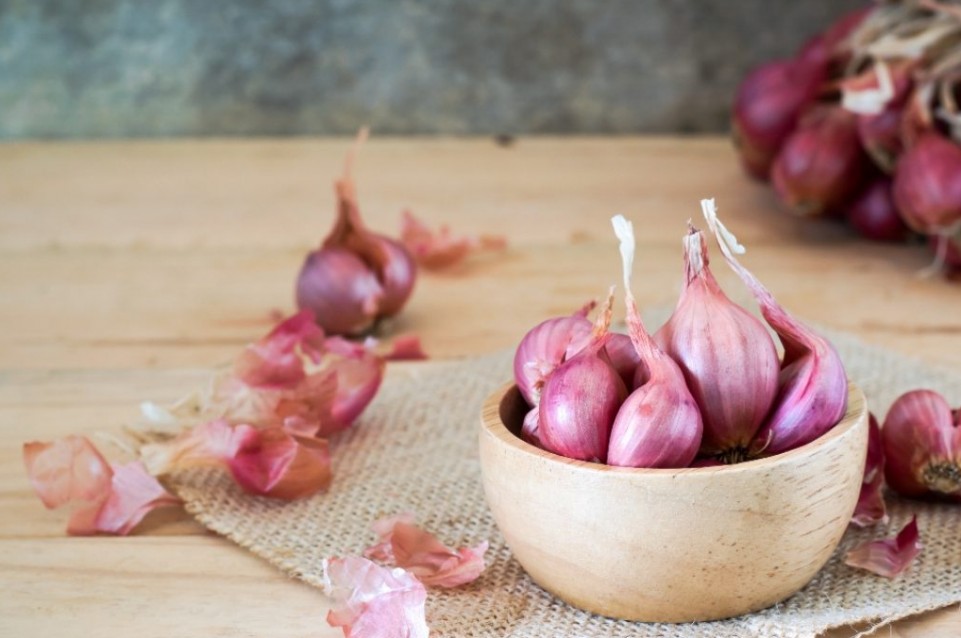 Fiera dello Scalogno di Romagna: dal 23 al 31 luglio a Riolo Terme 