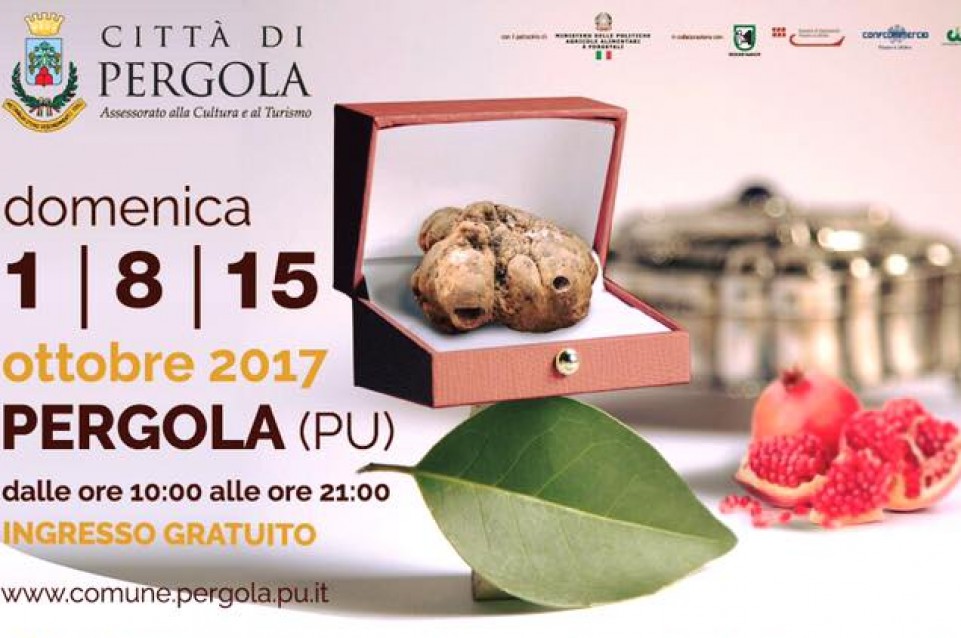 Ad ottobre la Fiera Nazionale del Tartufo Bianco Pregiato di Pergola festeggia 20 anni 