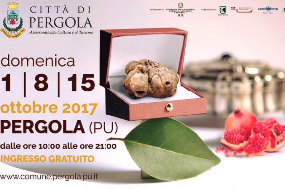 Le prime 3 domeniche di ottobre torna la "Fiera Nazionale del Tartufo Bianco Pregiato di Pergola" 