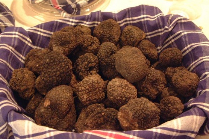 Fiera Nazionale del Tartufo a San Sebastiano Curone (AL)