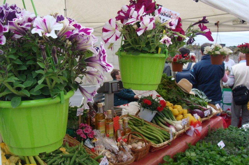 Floricola: a Borgo Santo Spirito il 23 e 24 aprile arriva la mostra mercato dedicata a fiori e piante Floricola: a Borgo Santo Spirito il 23 e 24 aprile arriva la mostra mercato dedicata a fiori e piante