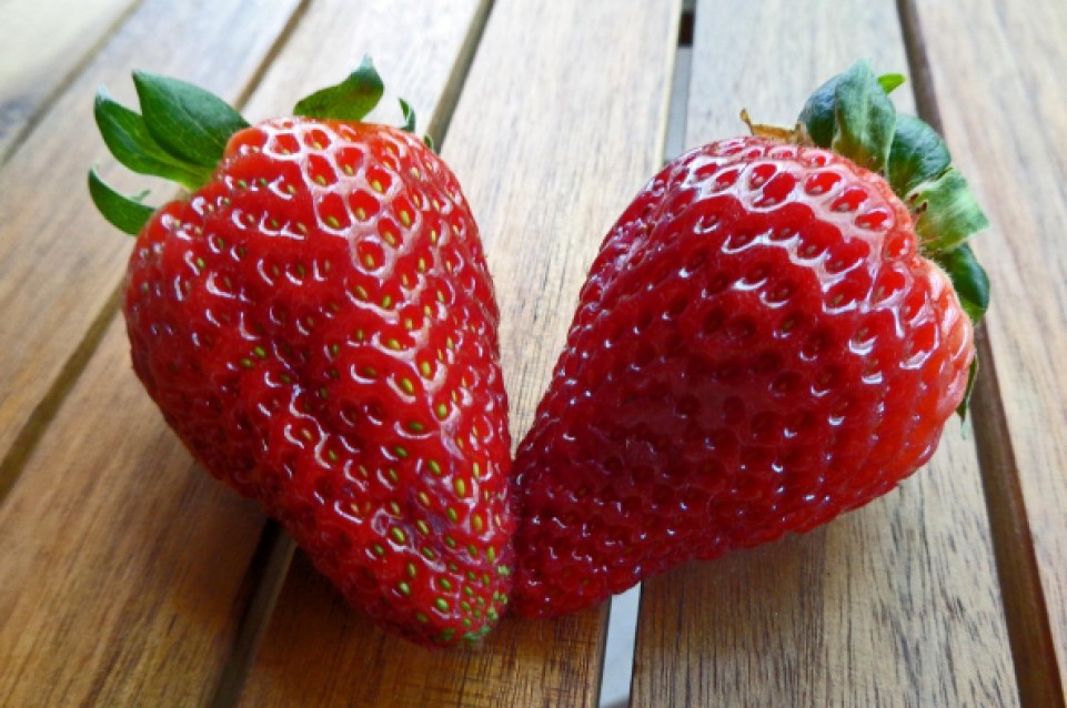 Fragole: dolci, gustose e ricche di benefici Fragole: dolci, gustose e ricche di benefici