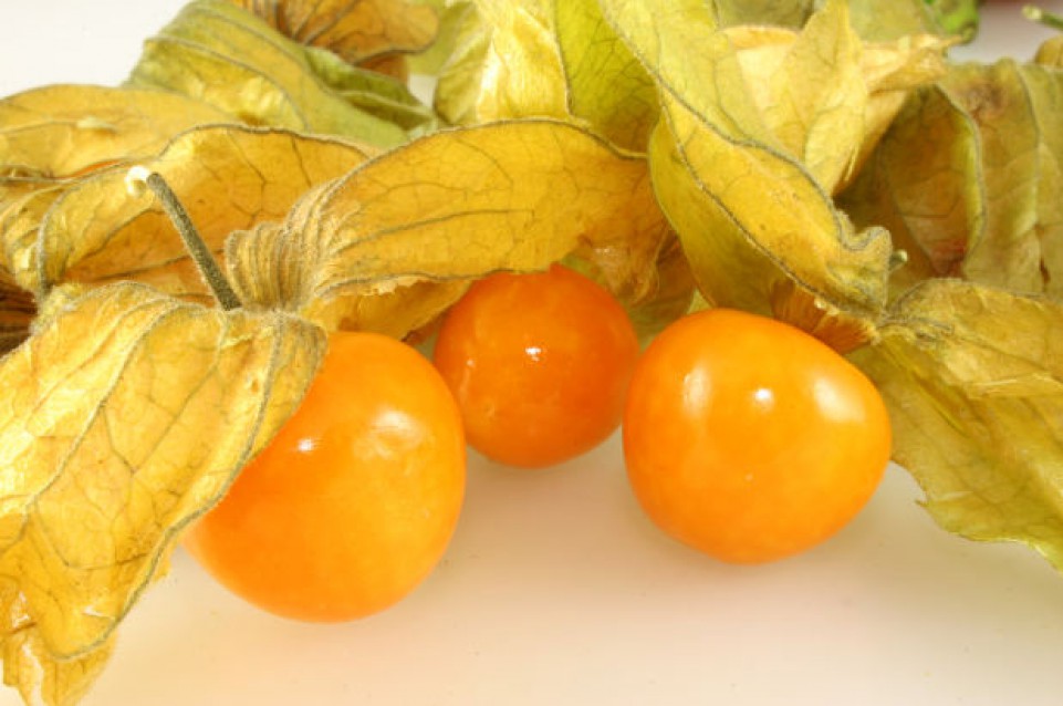 Frutta: ecco le varietà meno conosciute Frutta: ecco le varietà meno conosciute