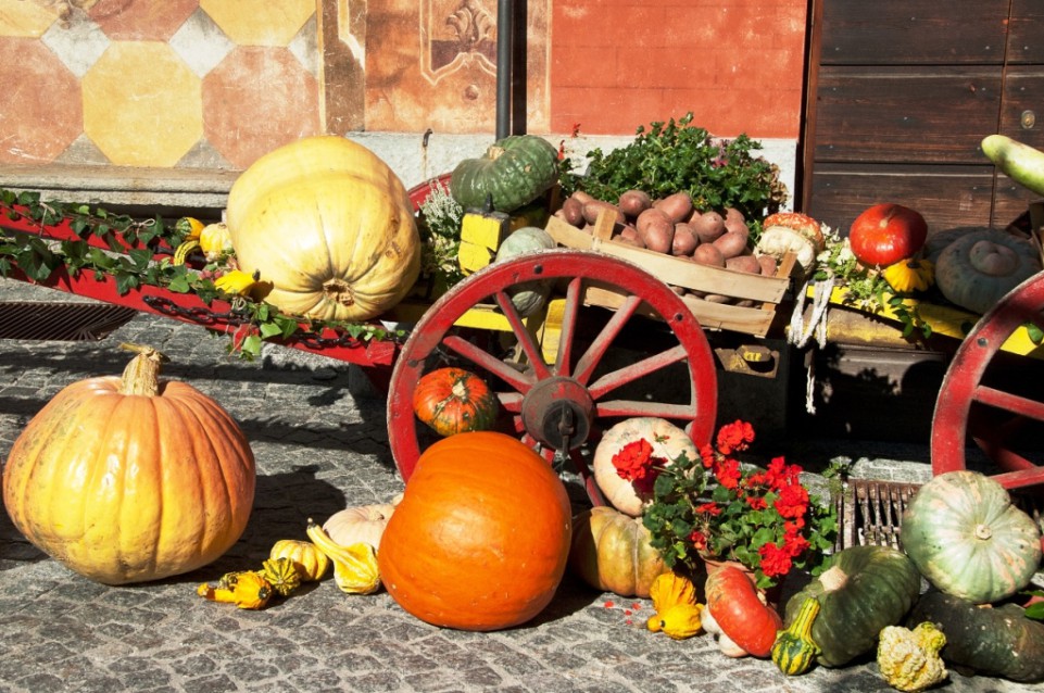 Fuori di Zucca: il 15 e 16 ottobre a Santa Maria maggiore arriva il gusto dell'autunno