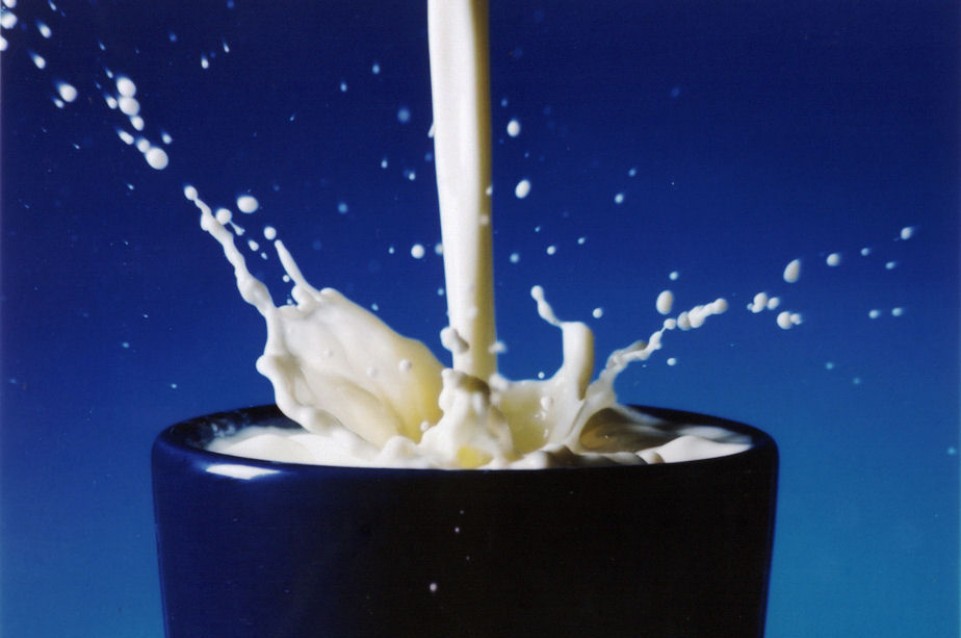 Il latte mantiene giovane il nostro cervello!