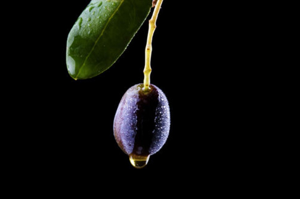 Dal 13 al 15 novembre ad Imperia arriva il gusto con "Olioliva" Dal 13 al 15 novembre ad Imperia arriva il gusto con "Olioliva"