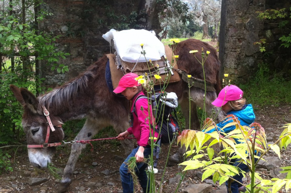 Itinera 2015: dal 30 maggio al 7 novembre a Scandicci vi aspetta un'estate golosa Itinera 2015: dal 30 maggio al 7 novembre a Scandicci vi aspetta un'estate golosa