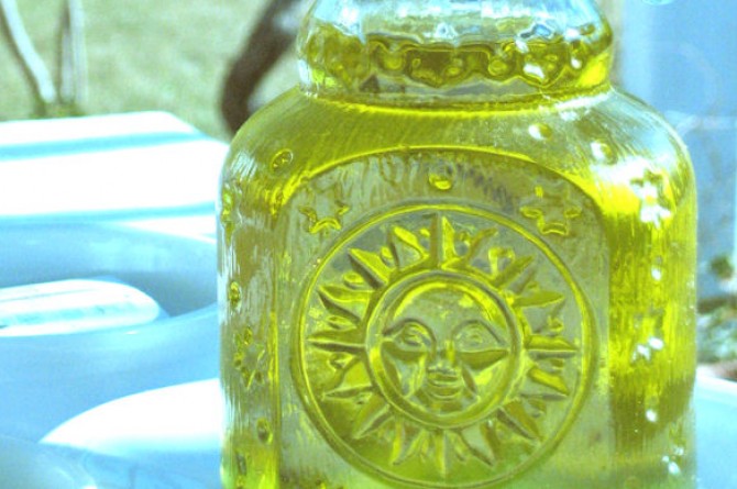 L'olio d'oliva compie 8000 anni! L'olio d'oliva compie 8000 anni!