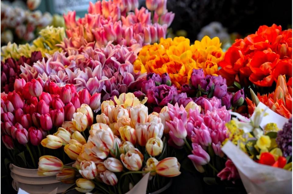 La "Festa dei Fiori" vi aspetta Crevalcore il 31 marzo