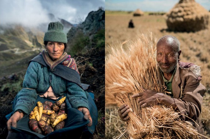 La mostra "Food - Il Futuro del Cibo" vi aspetta a Roma fino all'1 marzo La mostra "Food - Il Futuro del Cibo" vi aspetta a Roma fino all'1 marzo