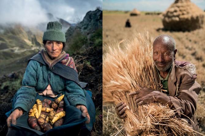 La mostra "Food - Il Futuro del Cibo" vi aspetta a Roma fino all'1 marzo