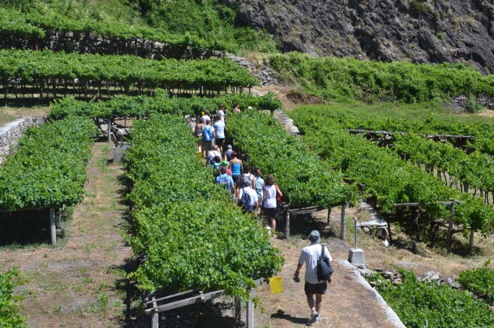 “La Tòupie Gourmanda”: Il 16 luglio a Morgex 