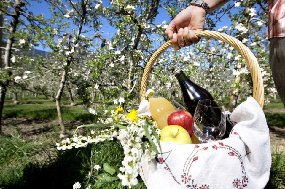 Dal 5 al 19 aprile a Lama vi aspetta la primavera con la "Festa della fioritura"