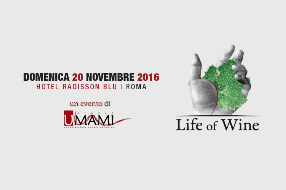 Life of Wine: il 20 novembre a Roma torna l'evento enologico dedicato alle vecchie annate Life of Wine: il 20 novembre a Roma torna l'evento enologico dedicato alle vecchie annate