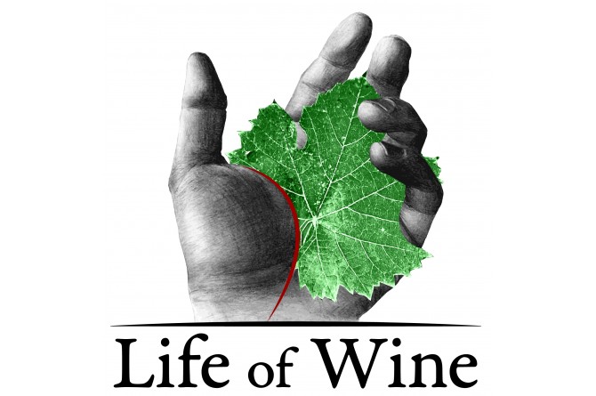 Life of Wine: domenica 16 novembre a Firenze viaggio nelle età del vino 
