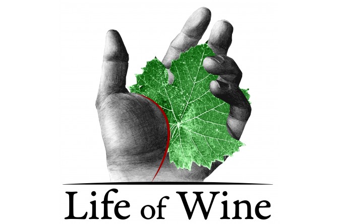 Life of Wine: domenica 16 novembre a Firenze viaggio nelle età del vino Life of Wine: domenica 16 novembre a Firenze viaggio nelle età del vino