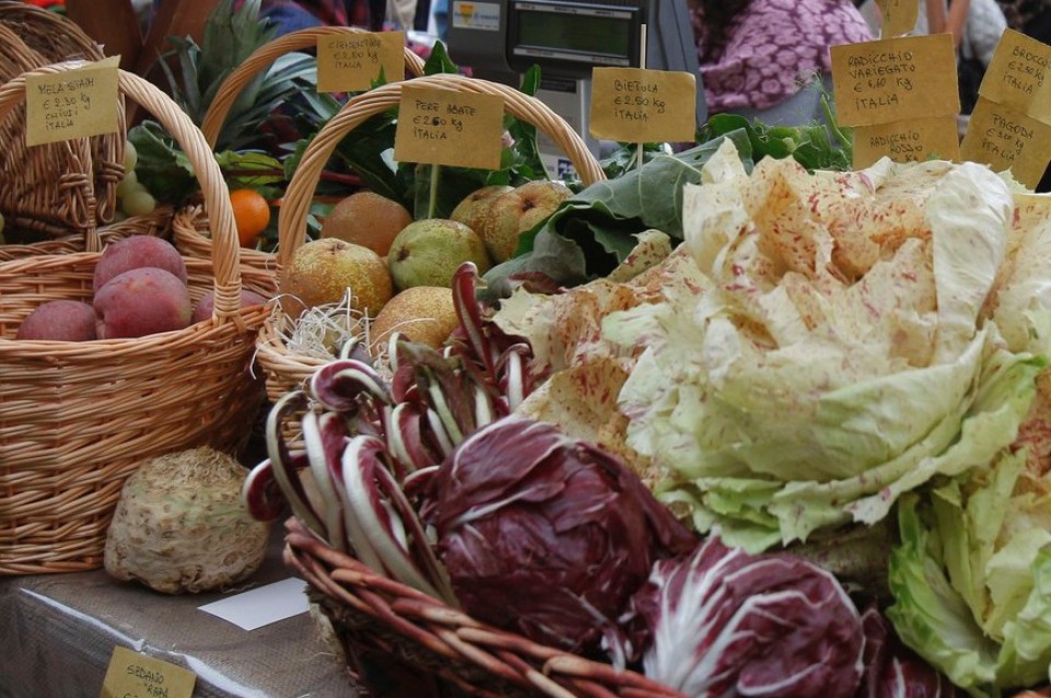 LOCAL BIO: dal 26 al 28 novembre Firenze mette in mostra la Toscana buona e sostenibile LOCAL BIO: dal 26 al 28 novembre Firenze mette in mostra la Toscana buona e sostenibile