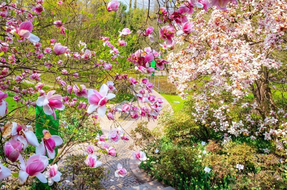 Merano Flower Festival: dal 27 al 29 aprile 2018 Merano Flower Festival: dal 27 al 29 aprile 2018
