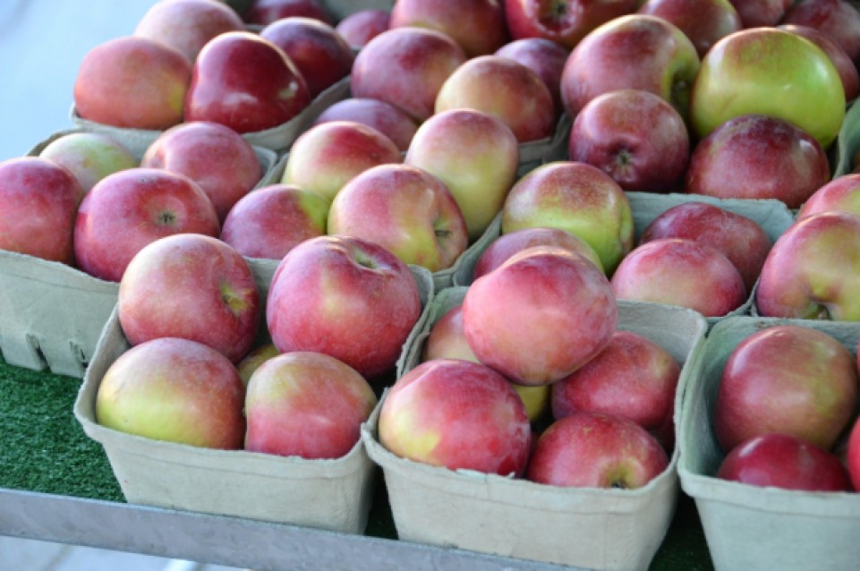 Il 23 luglio a Milano tornano  i giovedì del gusto con "Frutta: tutti i colori delle Marche"