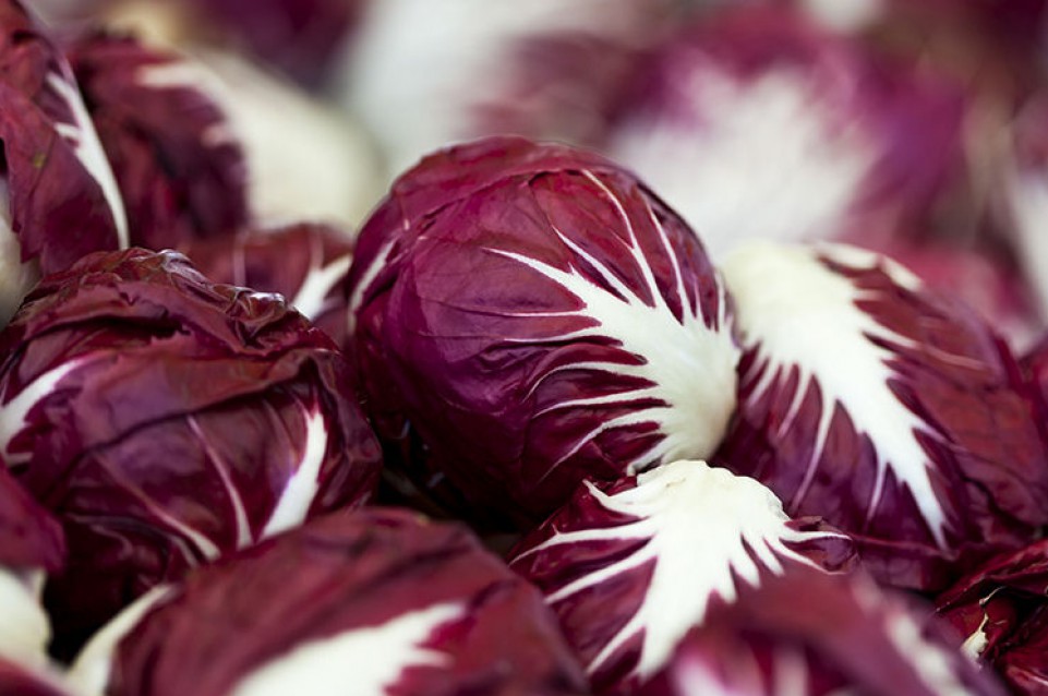 Il 10 gennaio a Mirano arriva la Festa del Radicchio 2016