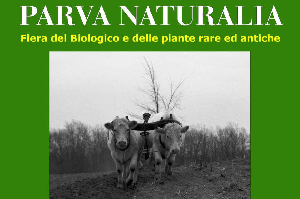 Dal 31 ottobre all'1 novembre a Modena torna "Parva Naturalia"