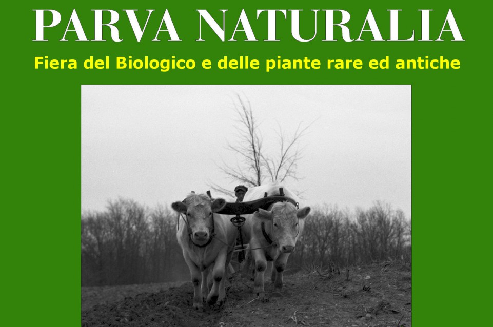 Dal 31 ottobre all'1 novembre a Modena torna "Parva Naturalia" Dal 31 ottobre all'1 novembre a Modena torna "Parva Naturalia"
