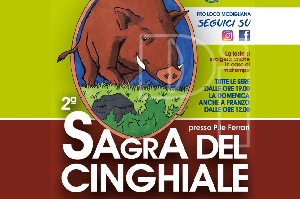 Dal 30 giugno al 2 luglio a Modigliana arriva il cinghiale 