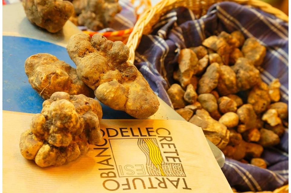 I weekend del 11-12 e 18-19 novembre a Montalcino torna la Mostra Mercato del Tartufo Bianco delle Crete Senesi 