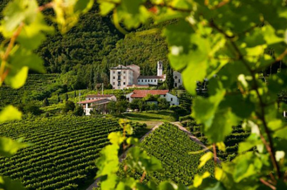 Mostra del Cartizze e Valdobbiadene Docg: dal 20 aprile al 5 maggio a S. Pietro di Barbozza 