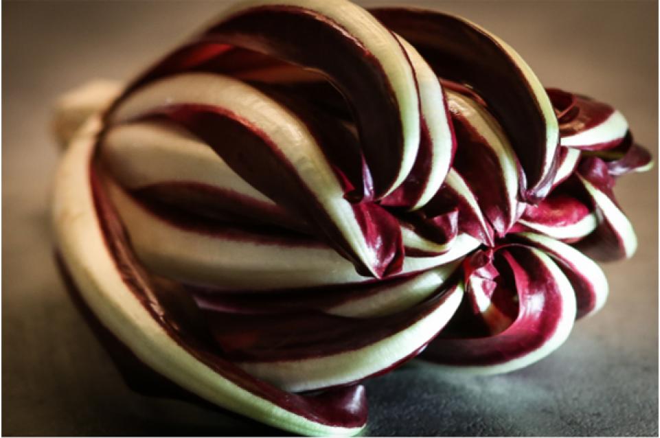 Mostra del Radicchio: il 15 e il 16 febbraio a Mogliano Veneto Mostra del Radicchio: il 15 e il 16 febbraio a Mogliano Veneto