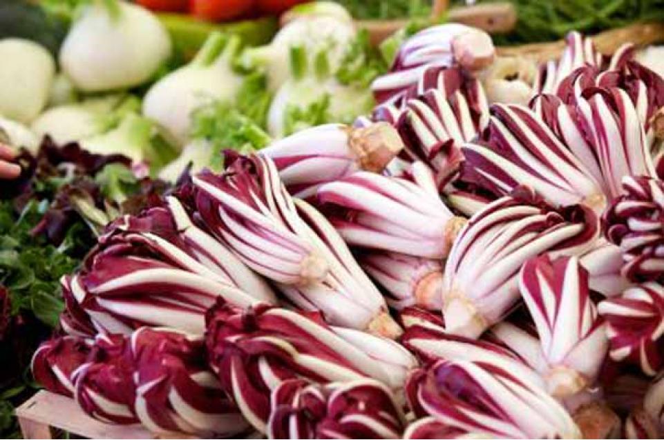 Mostra del Radicchio Rosso di Treviso IGP Tardivo: dal 12 al 21 gennaio 2018 a Zero Branco 