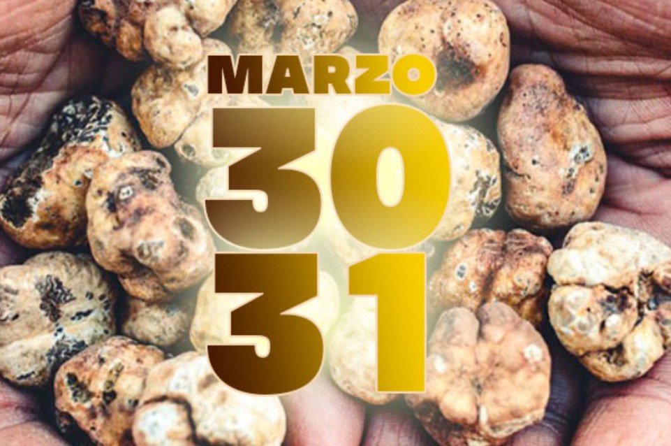 Mostra Mercato del Tartufo Marzuolo: il 30 e 31 marzo a Volterra