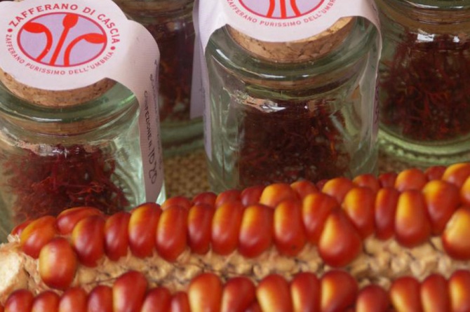 "Mostra Mercato dello Zafferano Purissimo": a Cascia dal 31 ottobre al 2 novembre "Mostra Mercato dello Zafferano Purissimo": a Cascia dal 31 ottobre al 2 novembre