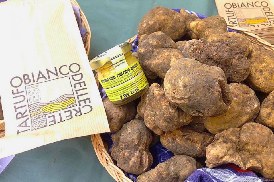 Mostra Mercato del Tartufo Bianco delle Crete Senesi: a novembre a San Giovanni d'Asso Mostra Mercato del Tartufo Bianco delle Crete Senesi: a novembre a San Giovanni d'Asso