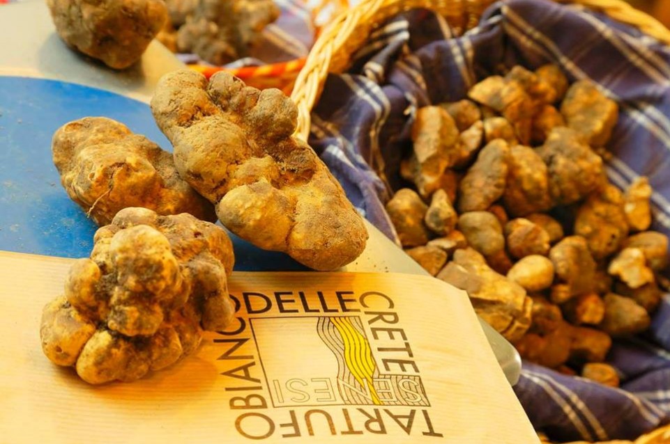 Mostra Mercato del Tartufo Bianco delle Crete Senesi: 9-10 e 16-17 novembre a Montalcino 