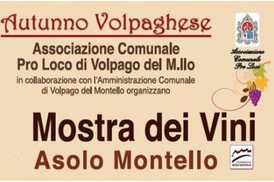 Dal 15 novembre al primo dicembre torna la "Mostra dei vini del Montello e dei Colli Asolani" 