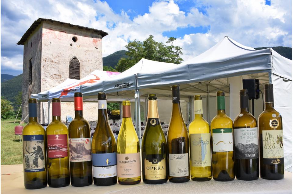 Müller Thurgau: vino di montagna: dal 15 al 17 ottobre a Trento