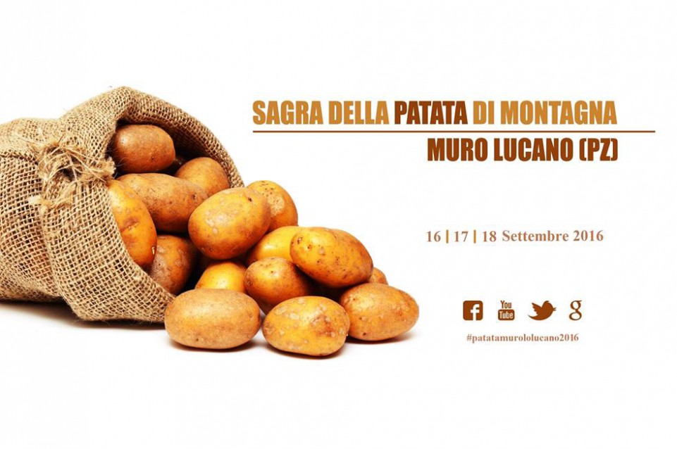 Dal 16 al 18 settembre a Muro Lucano appuntamento con la "Sagra della Patata di Montagna" Dal 16 al 18 settembre a Muro Lucano appuntamento con la "Sagra della Patata di Montagna"