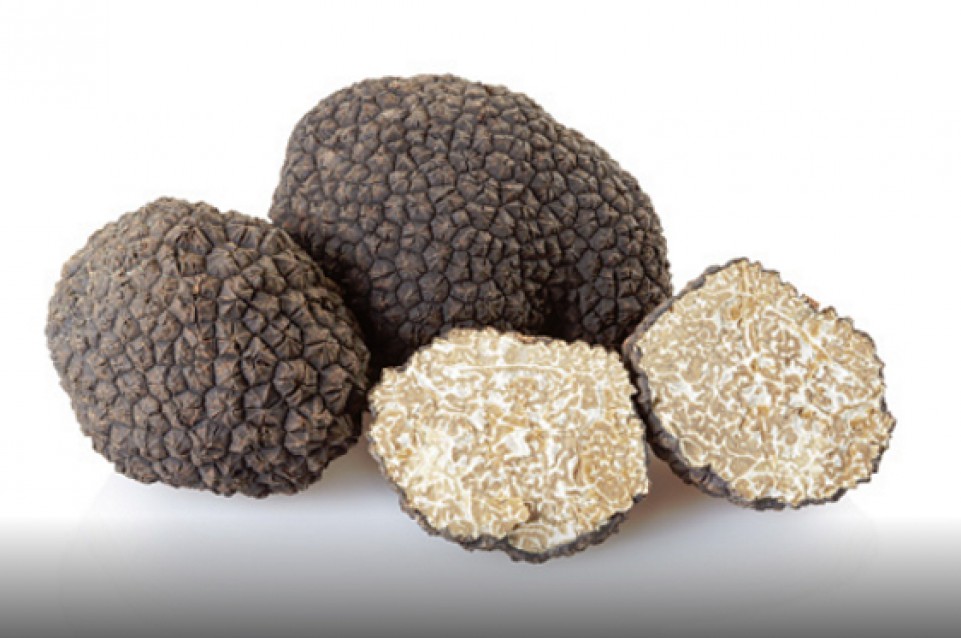 Nero Norcia: dal 24 febbraio al 12 marzo torna la kermesse dedicata al tartufo Nero Norcia: dal 24 febbraio al 12 marzo torna la kermesse dedicata al tartufo