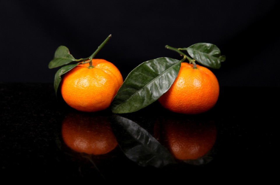 Il 9 e 10 gennaio a Palagiano torna la "Sagra del Mandarino" 