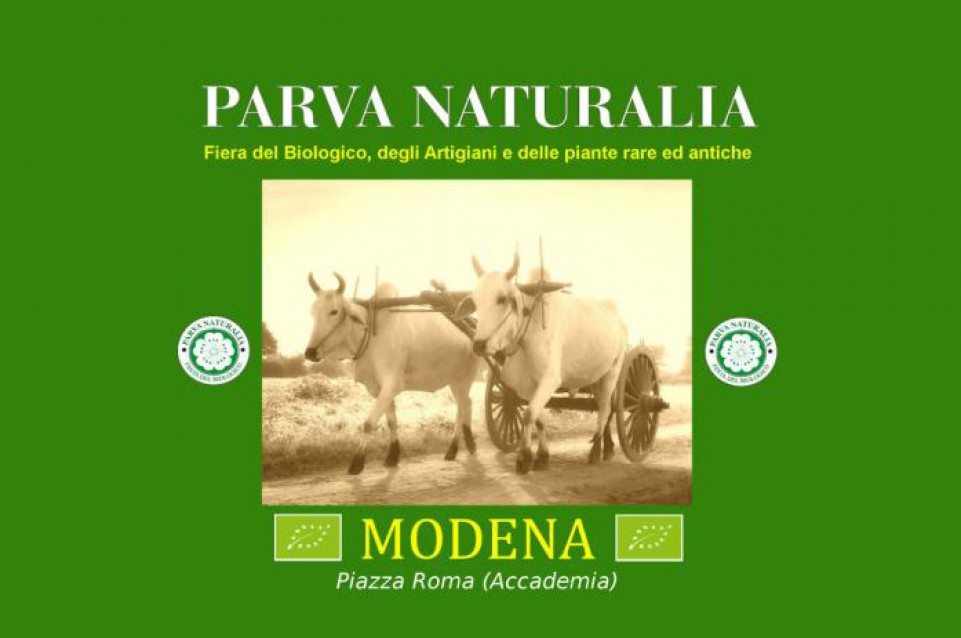 Parva Naturalia: Il 3 e 4 novembre a Modena 