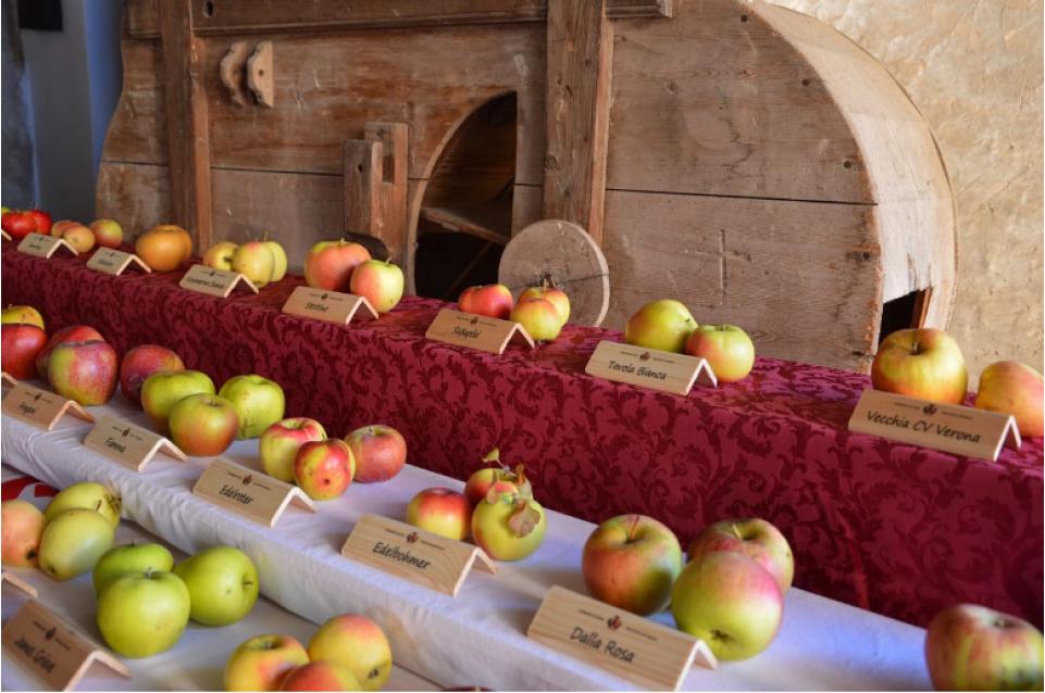 Pomaria: a Cles il 13 e 14 ottobre arriva la festa della mela della Val di Non 